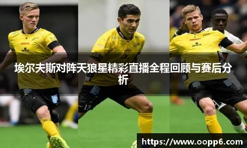 mksport体育